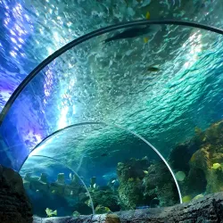 Sea Life Benalmadena - Benalmadena