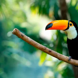 Selwo Marina - Benalmadena