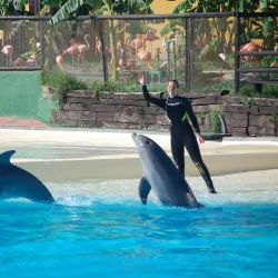 Selwo Marina - Benalmadena