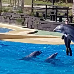 Selwo Marina - Benalmadena