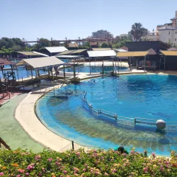 Selwo Marina - Benalmadena