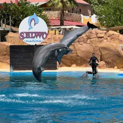 Selwo Marina - Benalmadena