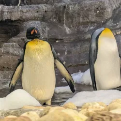 Selwo Marina - Benalmadena