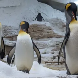 Selwo Marina - Benalmadena