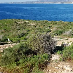 Benidorm Island (Isla de Benidorm) - Benidorm