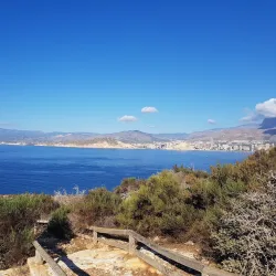 Benidorm Island (Isla de Benidorm) - Benidorm