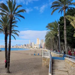 Parque de Elche - Benidorm