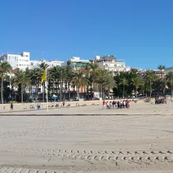 Parque de Elche - Benidorm