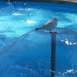 Parque de Elche - Benidorm