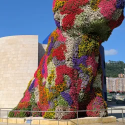 Guggenheim Museum Bilbao - Bilbao