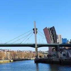 Guggenheim Museum Bilbao - Bilbao
