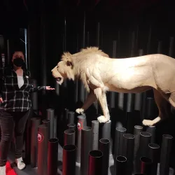 San Mamés Stadium - Bilbao