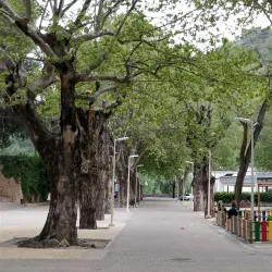 Parque de San Luis - Buñol