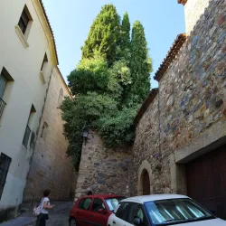Palacio de los Golfines de Abajo - Caceres