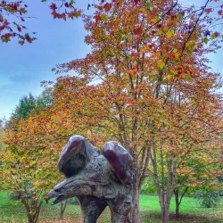 Parque del Príncipe - Caceres