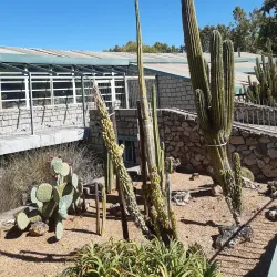 Parque del Príncipe - Caceres