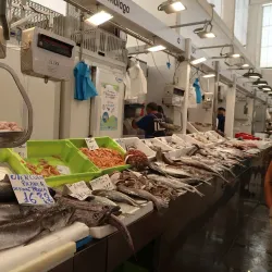 Mercado Central de Abastos - Cadiz