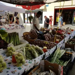 Mercado Central de Abastos - Cadiz