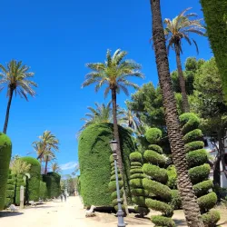 Parque Genovés - Cadiz