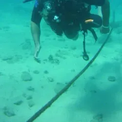 Diving and Snorkeling Centers - Caleta de Fuste