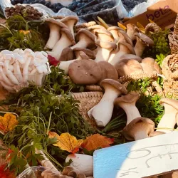 Calp Market - Calp (Calpe)