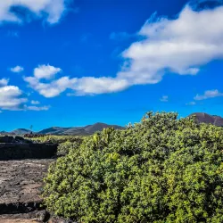 Cueva de los Verdes - Canary Islands