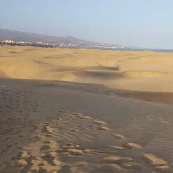 Dunes of Maspalomas - Canary Islands