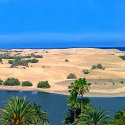 Dunes of Maspalomas - Canary Islands
