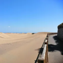 Dunes of Maspalomas - Canary Islands