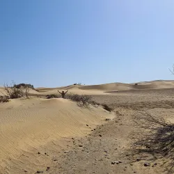 Dunes of Maspalomas - Canary Islands