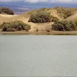 Dunes of Maspalomas - Canary Islands