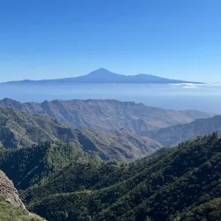 Garajonay National Park - Canary Islands