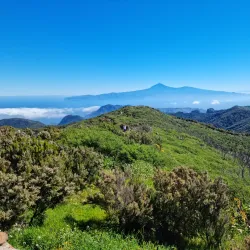Garajonay National Park - Canary Islands