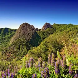 Garajonay National Park - Canary Islands