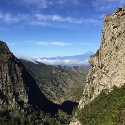 Garajonay National Park - Canary Islands