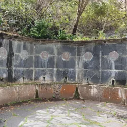 Jardín Botánico Canario Viera y Clavijo - Canary Islands