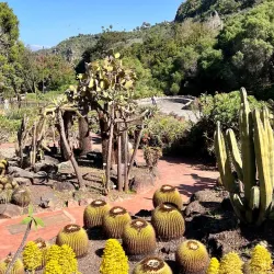 Jardín Botánico Canario Viera y Clavijo - Canary Islands