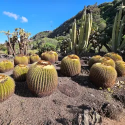 Jardín Botánico Canario Viera y Clavijo - Canary Islands