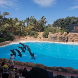 Loro Parque - Canary Islands