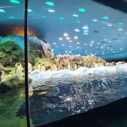 Loro Parque - Canary Islands