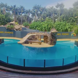 Loro Parque - Canary Islands