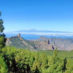 Pico de las Nieves - Canary Islands