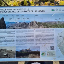 Pico de las Nieves - Canary Islands