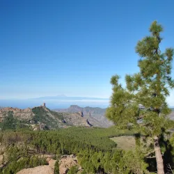 Pico de las Nieves - Canary Islands