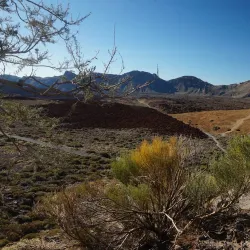Teide National Park - Canary Islands
