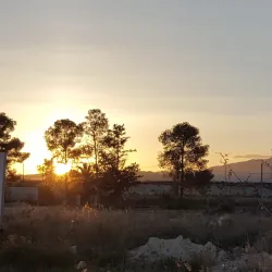 Parque de la Constitución - Caravaca de la Cruz