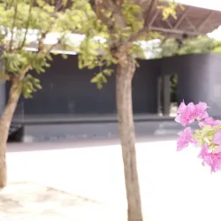 Parque de la Constitución - Caravaca de la Cruz