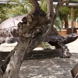 Parque de la Constitución - Caravaca de la Cruz