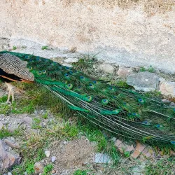 Parque Torres - Cartagena