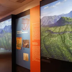 Museo de Cartama - Cartama